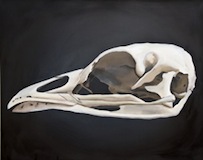 Natural History VII - Tetrao Urogallus. Oil on canvas, 100 x 80 cm, 2014