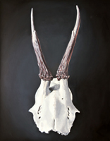 Natural History III - Capreolus Capreolus. Oil on canvas, 80 x 100 cm, 2014